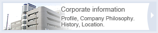Corporate information